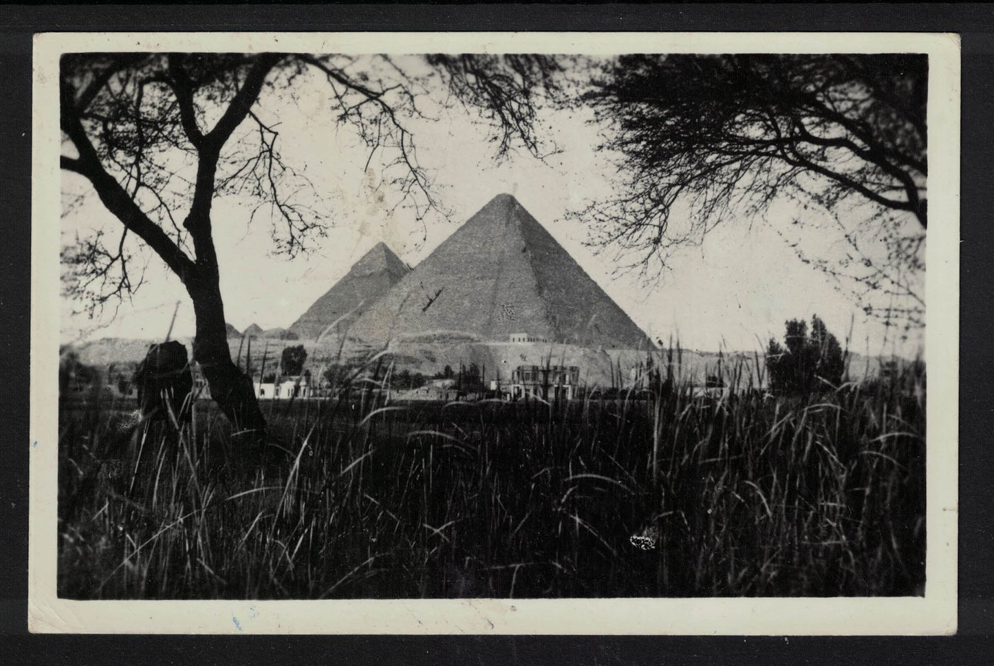 1950 Egypt, Port Said Postcard to Algeria Featuring Pyramid (A00040)