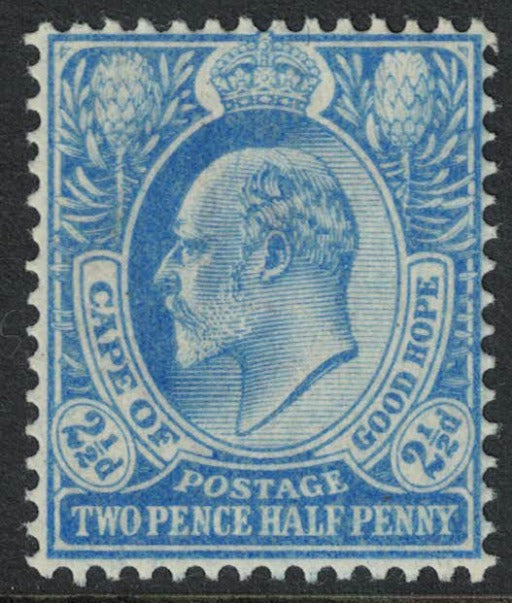1904 K Edward VII Cape of Good Hope COGH 2½d Blue SG73 UNMOUNTED MINT