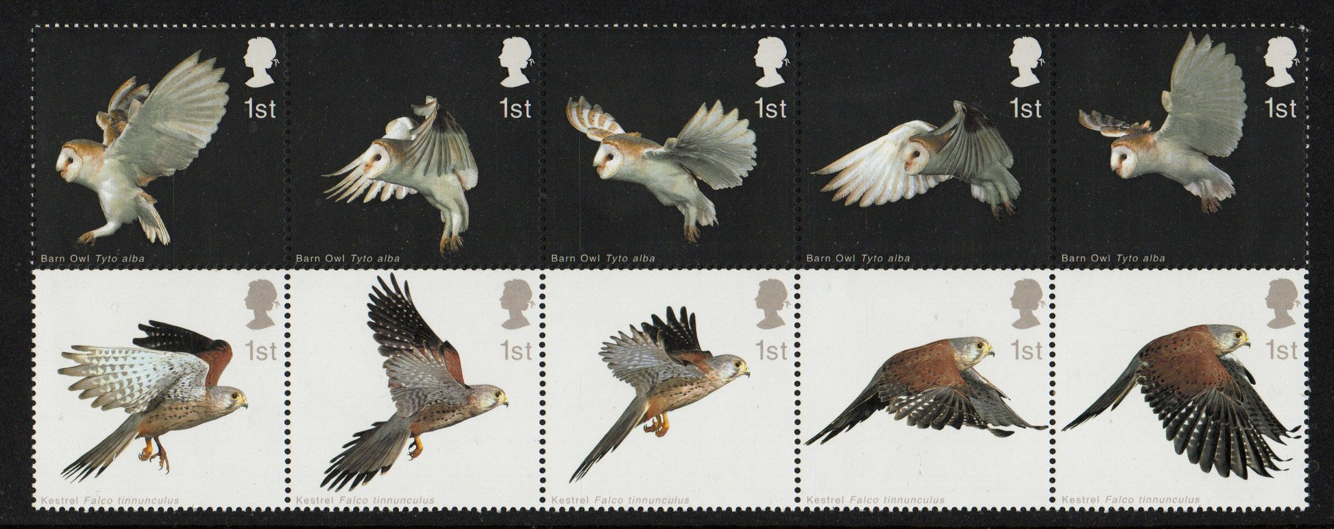 Great Britain 2003 Birds of Prey Se-Tenant set of 10 unmounted mint