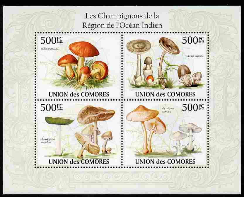 Comoro Islands 2009 Mushrooms from Indian Ocean Region perf sheetlet containing 4 values unmounted mint, Michel 2652-55