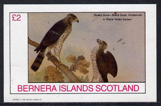 Bernera 1982 Birds #45 (Falcon) imperf deluxe sheet (Â£2 value) unmounted mint