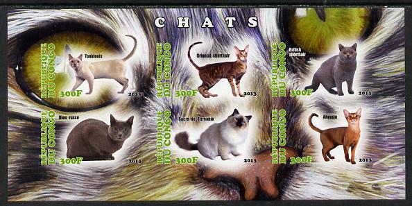 Congo 2013 Domestic Cats #2 imperf sheetlet containing six values unmounted mint