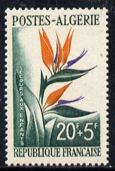 Albania 1965 Winter Fruits 1L Chestnut unmounted mint, Mi 912