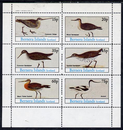 Bernera 1982 Waders (Snipe, Sandpipers, Avocet & Godwit) perf set of 6 values (15p to 75p) unmounted mint