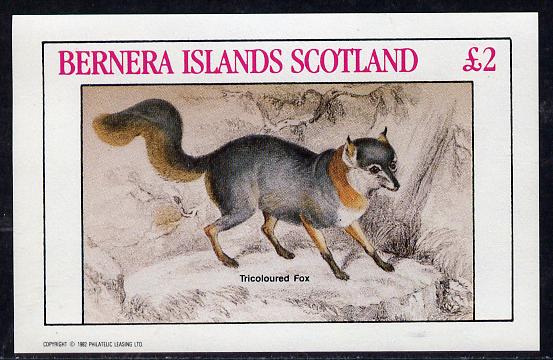 Bernera 1982 Animals (Tricoloured Fox) imperf deluxe sheet (£2 value) unmounted mint