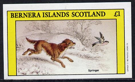 Bernera 1982 Dogs (Springer) imperf souvenir sheet (£1 value) unmounted mint