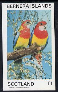 Bernera 1982 Parrots imperf souvenir sheet (£1 value) unmounted mint