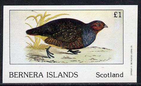 Bernera 1982 Game Birds #1 imperf souvenir sheet (£1 value) unmounted mint