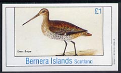 Bernera 1982 Great Snipe imperf souvenir sheet (Â£1 value) unmounted mint