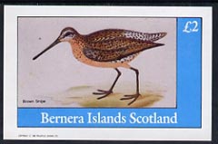 Bernera 1982 Brown Snipe imperf deluxe sheet (Â£2 value) unmounted mint