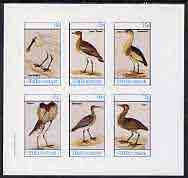 Staffa 1982 Waders (Bittern (2), Plover, Spoonbill, Whimbrel & Ruff) imperf set of 6 values (15p to 75p) unmounted mint