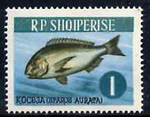 Albania 1964 Gilthead 1L unmounted mint, Mi 810