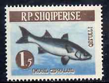 Albania 1964 Striped Mullet 1L50 unmounted mint, Mi 811