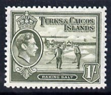 Turks & Caicos Islands 1938 KG6 Raking Salt 1s grey-olive unmounted mint, SG 202a*