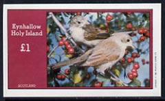 Eynhallow 1982 Birds #16 imperf souvenir sheet (Â£1 value) unmounted mint