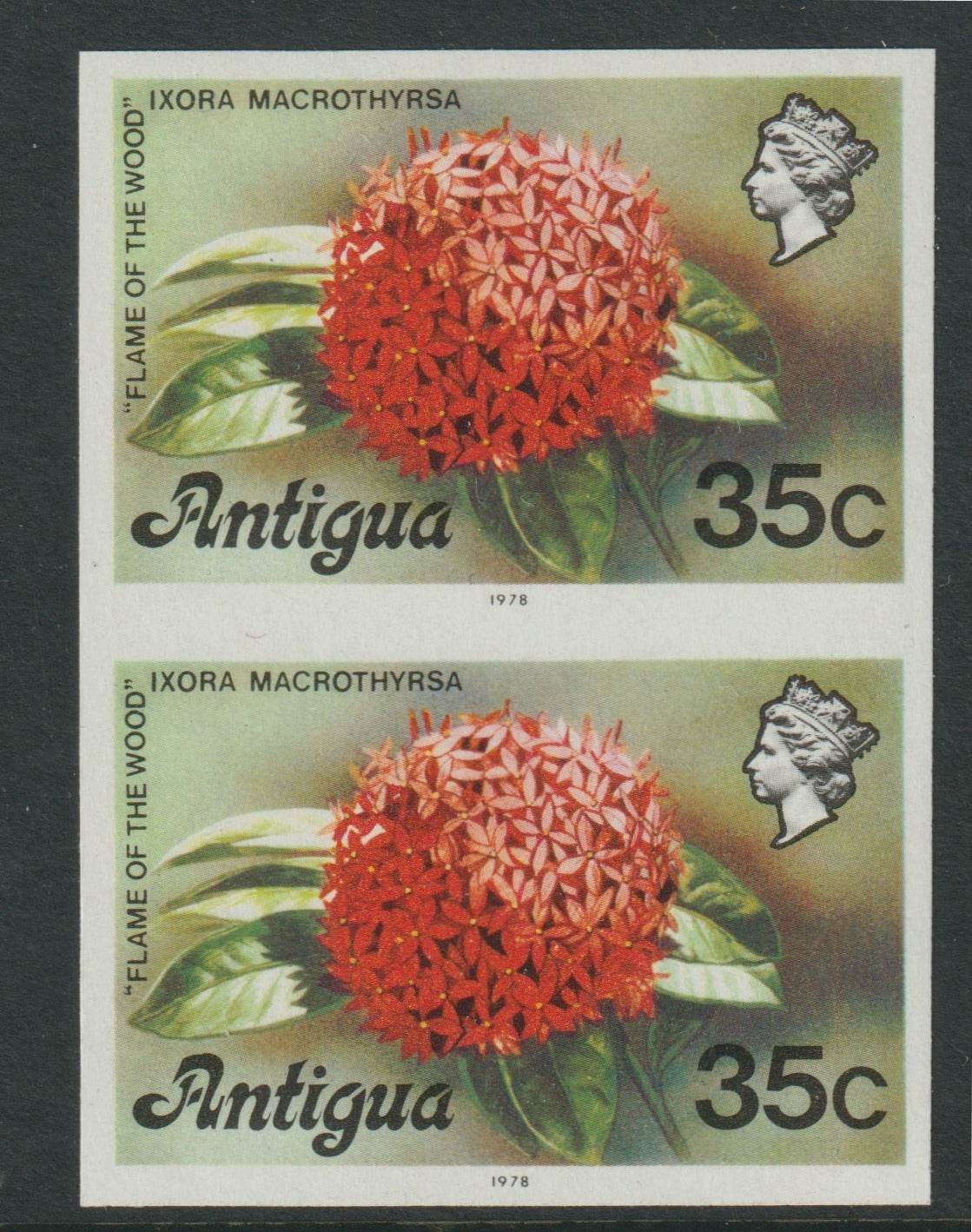 Antigua 1976 Flames of the Wood 35c (with imprint) unmounted mint imperforate pair (as SG 480B)