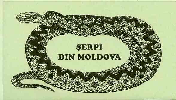 Booklet - Moldova 1993 WWF Protected Animals (Snakes) 104r booklet complete, more.....