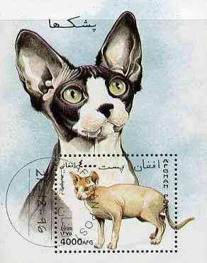 Afghanistan 1996 Domestic Cats perf miniature sheet cto used