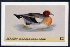 Bernera 1982 Ducks #4 imperf,deluxe sheet (£2 value) unmounted mint