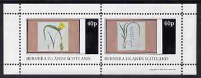Bernera 1981 Flowers #04 perf,set of 2 values (40p & 60p) unmounted mint