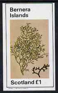 Bernera 1982 Plants #1 imperf souvenir sheet (£1 value) unmounted mint