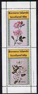 Bernera 1981 Roses (American Pillar & Iceberg) perf,set of 2 values (40p & 60p) unmounted mint