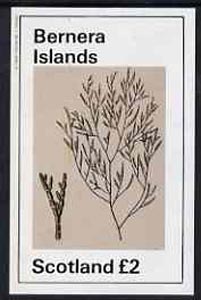 Bernera 1982 Plants #1 imperf deluxe sheet (£2 value) unmounted mint