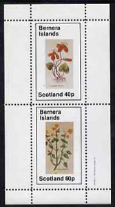 Bernera 1982 Violets (Scarlet V & Yellow V) perf set of 2 values (40p & 60p) unmounted mint