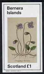 Bernera 1982 Violets (Creeping V) imperf souvenir sheet (Â£1 value) unmounted mint