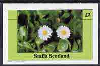 Staffa 1982 Wild Flowers (Daisy) imperf deluxe sheet (Â£2 value) unmounted mint