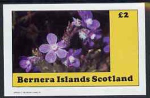 Bernera 1982 Flowers #10 imperf deluxe sheet (Â£2 value) unmounted mint