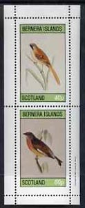 Bernera 1981 Birds #01 perf,set of 2 values complete (40p & 60p) unmounted mint