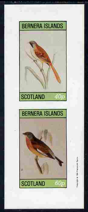 Bernera 1981 Birds #01 imperf,set of 2 values complete (40p & 60p) unmounted mint