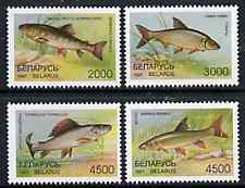 Belarus 1997 Fishes set of 4 unmounted mint SG 246-49*