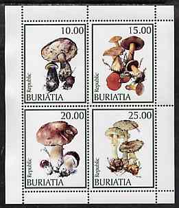 Buriatia Republic 1998 Fungi #11 perf sheetlet containing complete set of 4 values (white background) unmounted mint