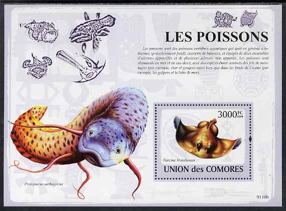 Comoro Islands 2009 Fish perf m/sheet unmounted mint