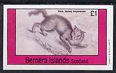 Bernera 1982 Cats (Felis angorensis) imperf souvenir sheet (Â£1 value) unmounted mint