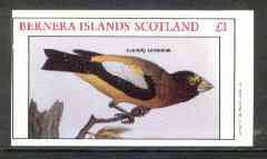 Bernera 1982 Evening Grosbeak imperf souvenir sheet (Â£1 value) unmounted mint