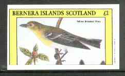 Bernera 1982 Yellow Throated Vireo imperf souvenir sheet (Â£1 value) unmounted mint