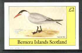 Bernera 1982 Birds #30 (Caspian Tern) imperf deluxe sheet (Â£2 value) unmounted mint