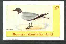 Bernera 1982 Birds #31 (Sabine's Gull) imperf deluxe sheet (Â£2 value) unmounted mint