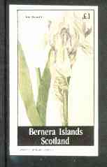 Bernera 1982 Flowers #16 (Iris swertii) imperf souvenir sheet (Â£1 value) unmounted mint