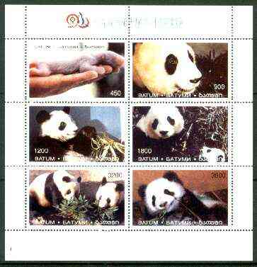 Batum 1996 Giant Pandas sheetlet containing complete set of 6 values unmounted mint