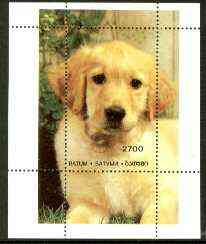 Batum 1996 Golden Retriever perf souvenir sheet unmounted mint