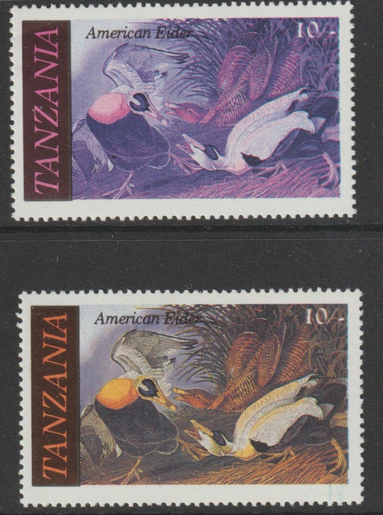 Tanzania 1986 John Audubon Birds 10s (American Eider) with yellow omitted, complete sheetlet of 8 plus normal sheet, both unmounted mint (as SG 465)