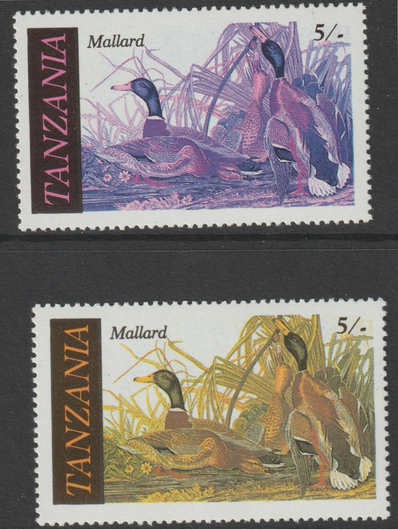 Tanzania 1986 John Audubon Birds 5s (Mallard) with yellow omitted, complete sheetlet of 8 plus normal sheet, both unmounted mint (as SG 464)
