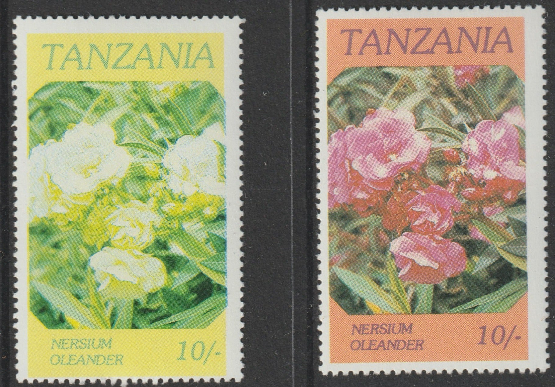 Tanzania 1986 Flowers 10s (Nersium) with red omitted, complete sheetlet of 8 plus normal sheet, both unmounted mint as SG 476