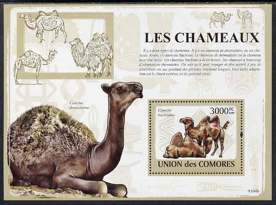 Comoro Islands 2009 Camels perf s/sheet unmounted mint