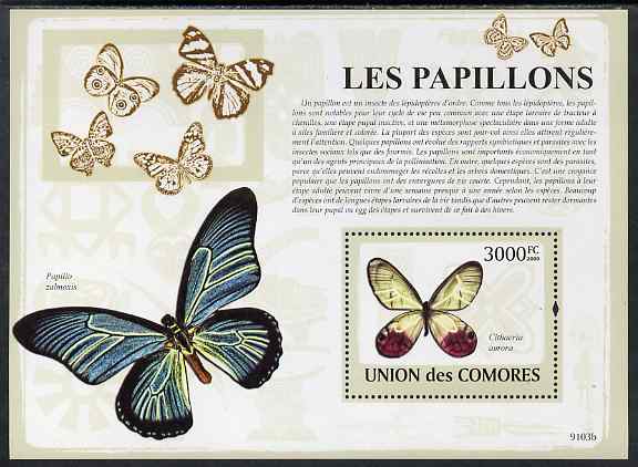 Comoro Islands 2009 Butterflies perf s/sheet unmounted mint