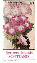 Bernera 1982 Flowers #22 (Primula) imperf souvenir sheet (Â£1 value) unmounted mint